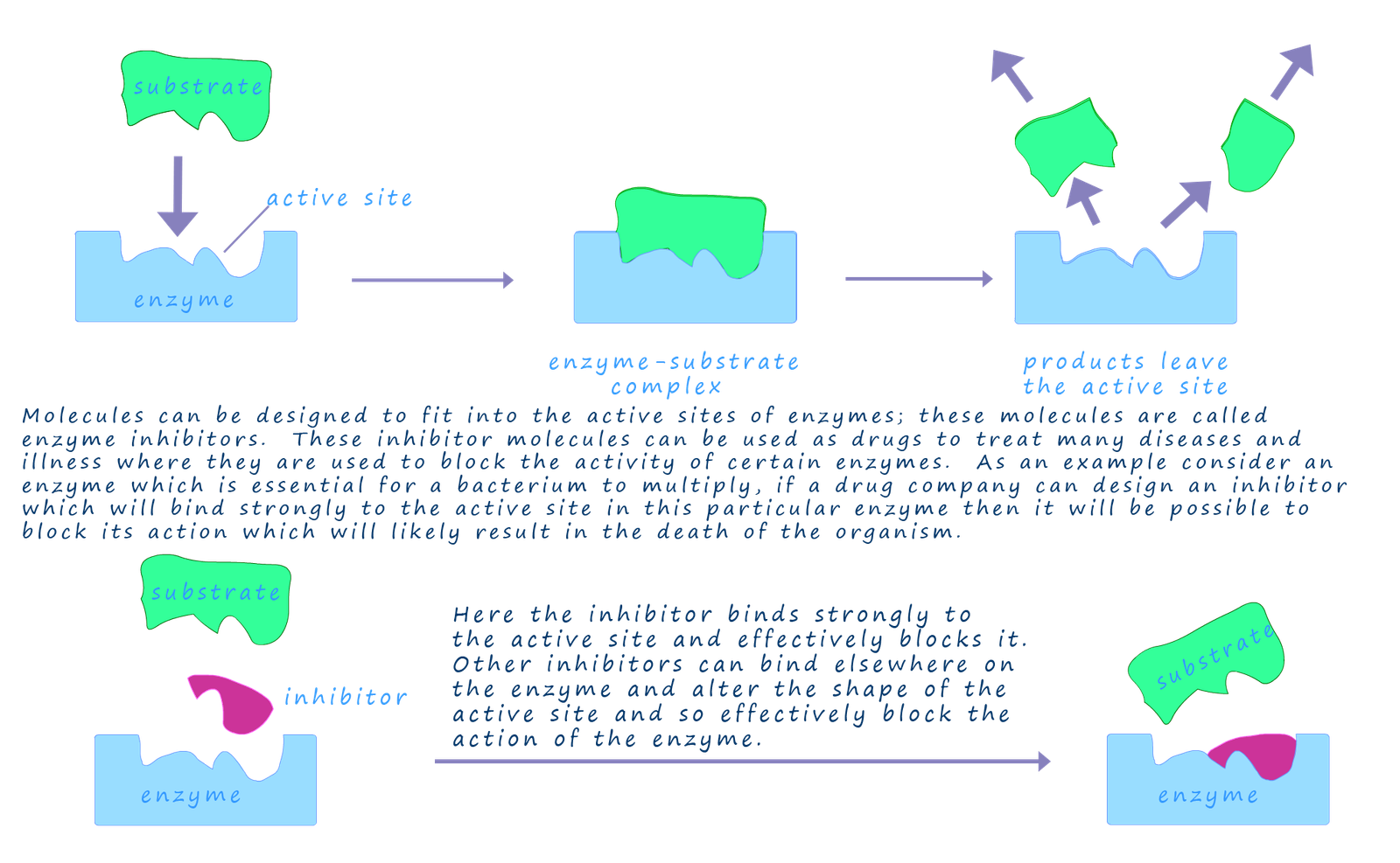 Lock and key diagram with an explanation to show how an inhibitor works.